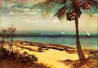 Tropical Coast